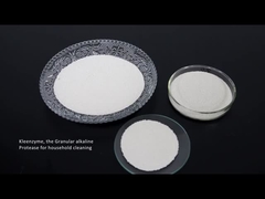 Amílase detergente do cellulase do protease da enzima