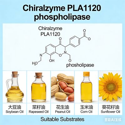 Bom preço. Quiralzima PLA1120. Fosfolipase A1 de Alta Eficiência para Degumamento de Óleo. on-line