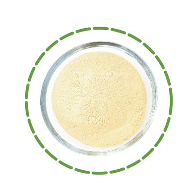 Bom preço. Inóculo microbianos das bactérias agrícolas da fermentação de Probiotics como o biofertilizante on-line