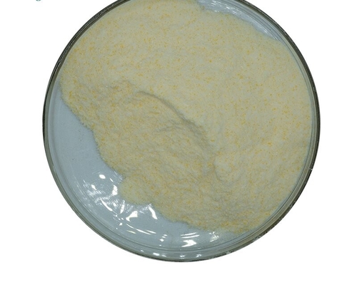 Bom preço. Aditivo do produto comestível do pó da enzima do Lipase de CAS 9001-62-1 99% on-line