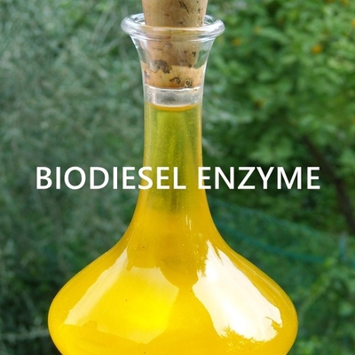 Bom preço. Projetando a enzima do Lipase para aplicações sustentáveis do óleo da bioenergia on-line