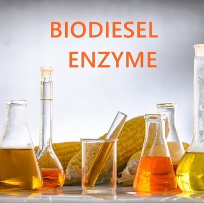 Bom preço. Enzima de Esterase de Ácidos Gordos de Alta Solubilidade para Aplicações Farmacêuticas on-line
