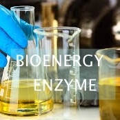 Bom preço. A conversão catalisada Lipase do ISO de desperdiça o óleo no biodiesel on-line