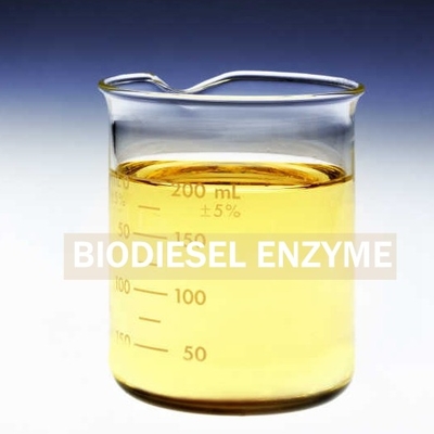 Bom preço. PH 7-9 Enzima de biodiesel otimiza a produção de biodiesel com a próxima geração on-line