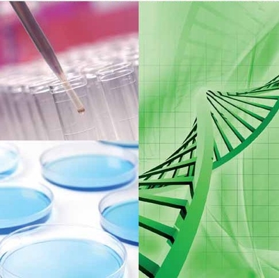 Bom preço. Eleve suas operações de Biorefinery com a versatilidade da tecnologia da enzima de CALB on-line