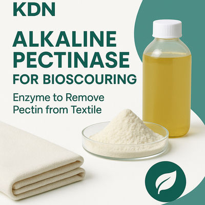 Bom preço. Eficiente, econômico e ecológico: o seu parceiro de biosscuragem na pectinase alcalina on-line