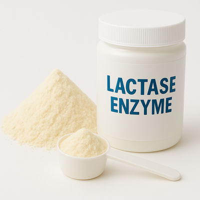 Bom preço. Enzima Beta-Galactosidase Lactase Substituta para Produtos Lácteos Sem Lactose Enzimas Alimentares on-line