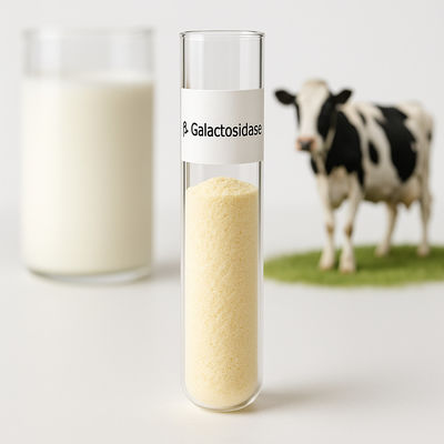Bom preço. Dosagem personalizável Iogurte de leite sem lactose em pó amarelo claro para várias necessidades de processamento on-line
