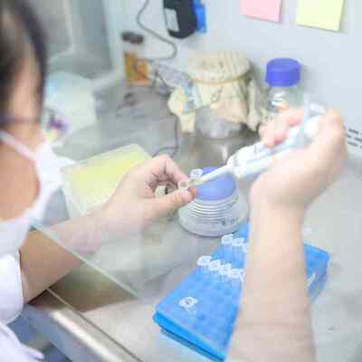 Bom preço. Peptídeos e aminoácidos Enzima de reação do detergente Compatível com outros ingredientes do detergente Operando entre 15 a 60 °C on-line