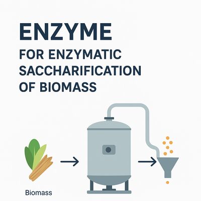 Bom preço. Enzima de Álcool Proporcionando Degradação de Álcool e Atividade Catalítica Aprimorada para Processos Biotecnológicos on-line