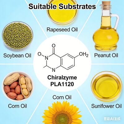 Bom preço. KDN Chiralzyme PLA1120: Enzima Superior para Degomagem de Óleo na Refinação de Petróleo Bruto on-line