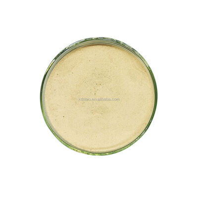 Bom preço. Remover Manchas de Óleo Detergente de Lavagem Pureza enzimática 99 por cento Projetado para aumentar a eficiência de limpeza em detergentes têxteis e de lavanderia on-line