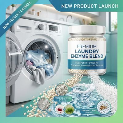 Bom preço. Água Fria Detergente Activo Enzima Mistura Alcalina Protease Amilase Para Lavagem A Baixa Temperatura on-line