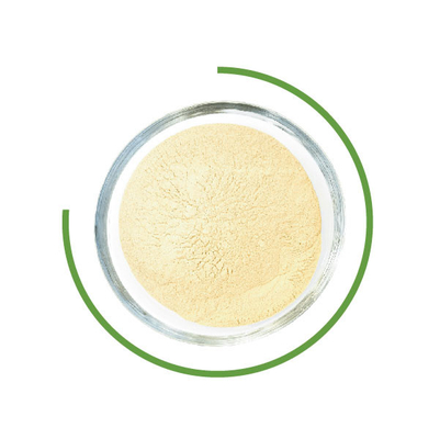 Bom preço. A lavagem do Cellulase de Trichoderma Reesei pulveriza enzimas microbianas na indústria têxtil on-line