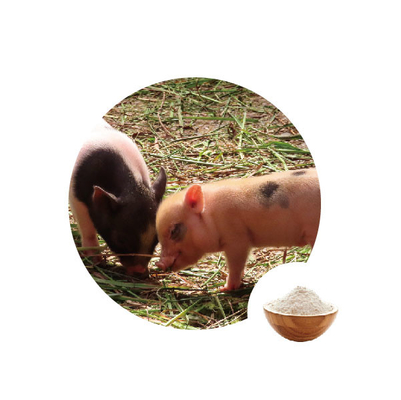 Bom preço. Pasta da toxina para enzimas ácidas Gluconic da oxidase de glicose da alimentação do gado na nutrição das aves domésticas on-line