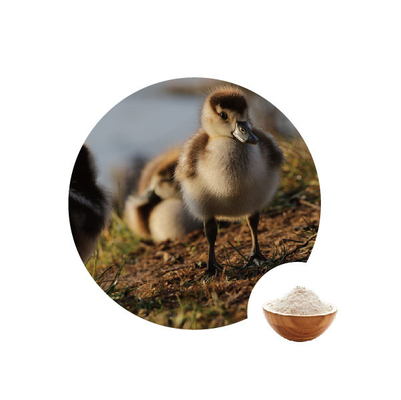 Bom preço. oxidase de glicose de 10000u G em enzimas das aves domésticas de 1.1.3.4 do número do Ec da indústria alimentar on-line