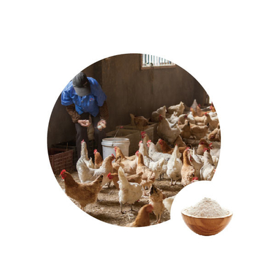 Bom preço. Oxidase de glicose do aditivo de alimento água as enzimas da produção usadas na alimentação das aves domésticas on-line